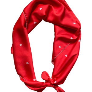 Burgundy Red Scarves